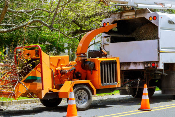 Leaf Removal in Freeport, FL